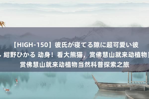 【HIGH-150】彼氏が寝てる隙に超可愛い彼女を襲って中出し 紺野ひかる 动身！看大熊猫，赏佛慧山就来动植物当然科普探索之旅