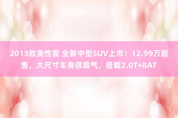 2013欧美性爱 全新中型SUV上市！12.99万起售，大尺寸车身很霸气，搭载2.0T+8AT