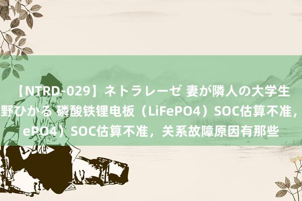 【NTRD-029】ネトラレーゼ 妻が隣人の大学生に寝盗られた話し 紺野ひかる 磷酸铁锂电板（LiFePO4）SOC估算不准，关系故障原因有那些