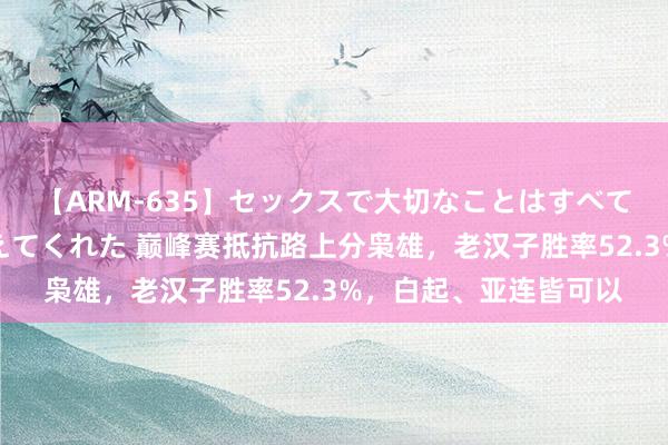 【ARM-635】セックスで大切なことはすべて君とのオナニーが教えてくれた 巅峰赛抵抗路上分枭雄，老汉子胜率52.3%，白起、亚连皆可以