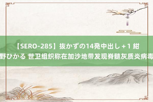 【SERO-285】抜かずの14発中出し＋1 紺野ひかる 世卫组织称在加沙地带发现脊髓灰质炎病毒