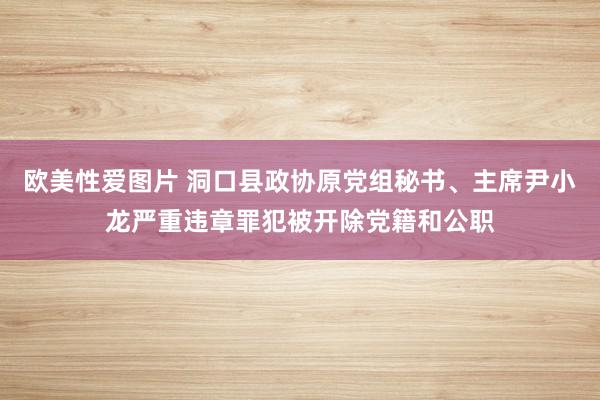 欧美性爱图片 洞口县政协原党组秘书、主席尹小龙严重违章罪犯被开除党籍和公职