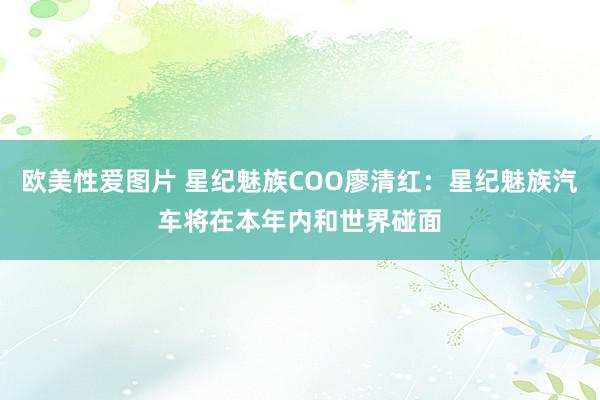 欧美性爱图片 星纪魅族COO廖清红：星纪魅族汽车将在本年内和世界碰面