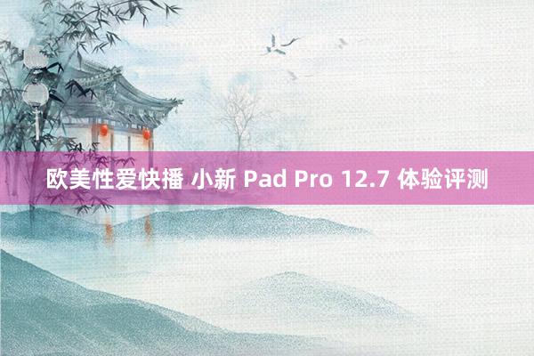 欧美性爱快播 小新 Pad Pro 12.7 体验评测