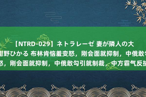 【NTRD-029】ネトラレーゼ 妻が隣人の大学生に寝盗られた話し 紺野ひかる 布林肯恼羞变怒，刚会面就抑制，中俄敢勾引就制裁，中方霸气反抗