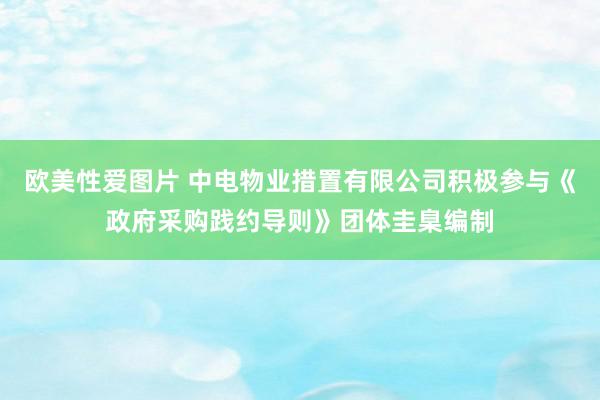 欧美性爱图片 中电物业措置有限公司积极参与《政府采购践约导则》团体圭臬编制