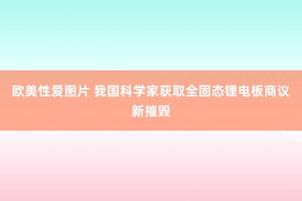 欧美性爱图片 我国科学家获取全固态锂电板商议新摧毁