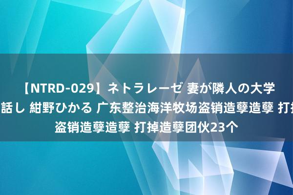 【NTRD-029】ネトラレーゼ 妻が隣人の大学生に寝盗られた話し 紺野ひかる 广东整治海洋牧场盗销造孽造孽 打掉造孽团伙23个