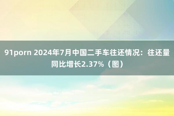 91porn 2024年7月中国二手车往还情况：往还量同比增长2.37%（图）