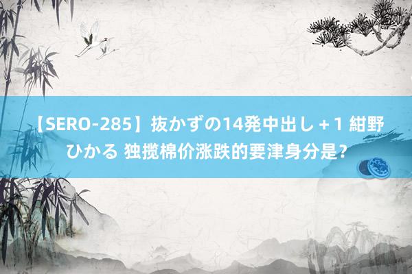 【SERO-285】抜かずの14発中出し＋1 紺野ひかる 独揽棉价涨跌的要津身分是？