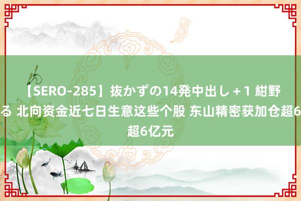 【SERO-285】抜かずの14発中出し＋1 紺野ひかる 北向资金近七日生意这些个股 东山精密获加仓超6亿元