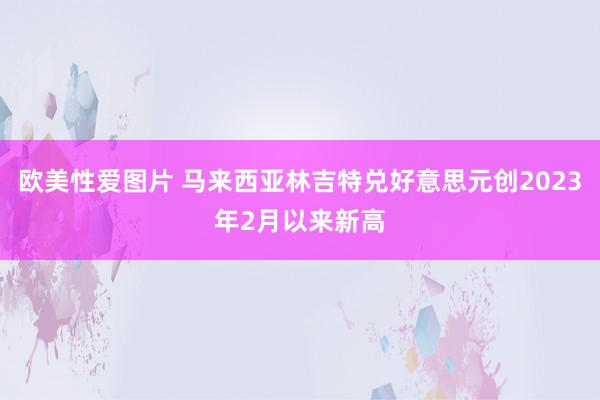 欧美性爱图片 马来西亚林吉特兑好意思元创2023年2月以来新高