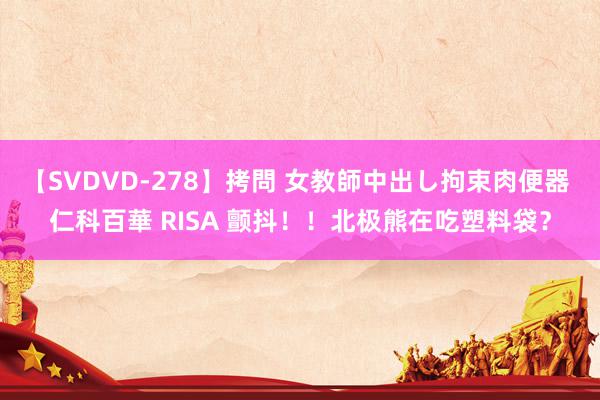 【SVDVD-278】拷問 女教師中出し拘束肉便器 仁科百華 RISA 颤抖！！北极熊在吃塑料袋？