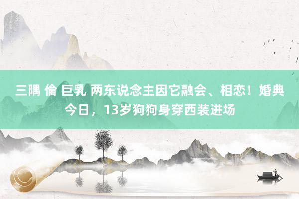 三隅 倫 巨乳 两东说念主因它融会、相恋！婚典今日，13岁狗狗身穿西装进场