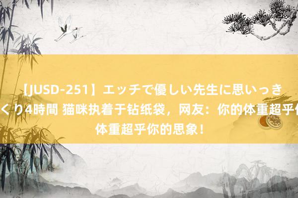 【JUSD-251】エッチで優しい先生に思いっきり甘えまくり4時間 猫咪执着于钻纸袋，网友：你的体重超乎你的思象！