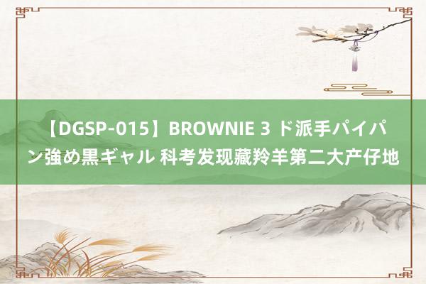 【DGSP-015】BROWNIE 3 ド派手パイパン強め黒ギャル 科考发现藏羚羊第二大产仔地