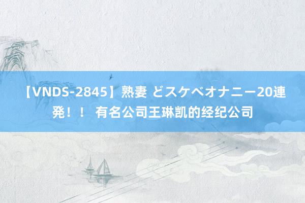 【VNDS-2845】熟妻 どスケベオナニー20連発！！ 有名公司王琳凯的经纪公司