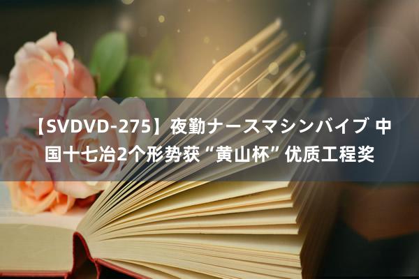 【SVDVD-275】夜勤ナースマシンバイブ 中国十七冶2个形势获“黄山杯”优质工程奖