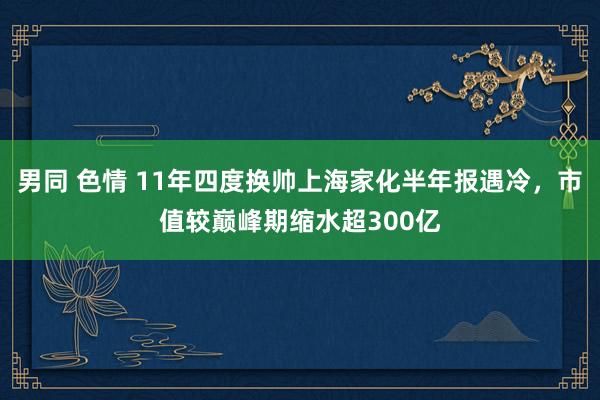 男同 色情 11年四度换帅上海家化半年报遇冷，市值较巅峰期缩水超300亿