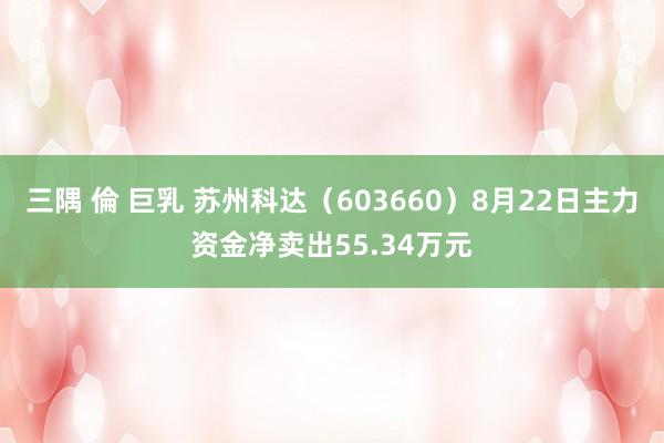 三隅 倫 巨乳 苏州科达（603660）8月22日主力资金净卖出55.34万元