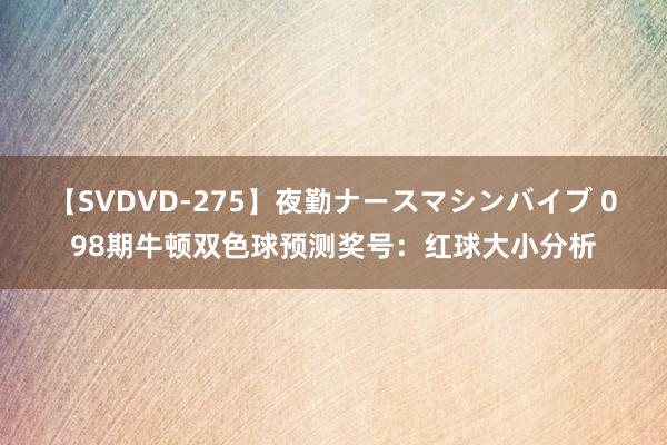 【SVDVD-275】夜勤ナースマシンバイブ 098期牛顿双色球预测奖号：红球大小分析