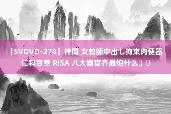 【SVDVD-278】拷問 女教師中出し拘束肉便器 仁科百華 RISA 八大器官齐最怕什么⁉️